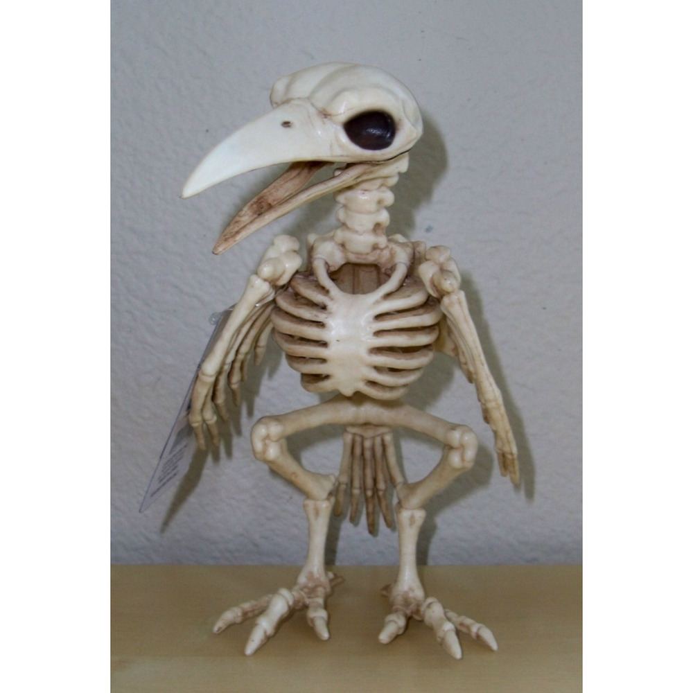 RAVEN BIRD SKELETON SPOOKY BONEZ DEAD ANIMAL PROP DECORATION NEW